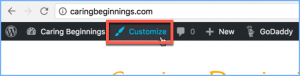 Theme Customizer Button in WordPress