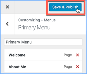 Save and Publish Button on WordPress Theme Customizer - Custom Software  Development in Cedar Rapids, Iowa